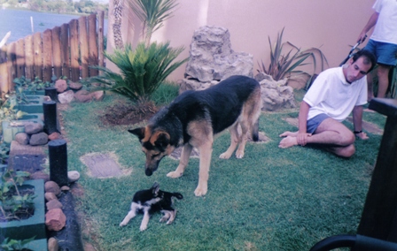 Puppies at the Dam.jpg