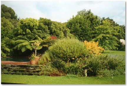 Craig was so proud of his beautiful garden