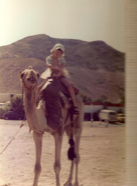 On a camel in Israel