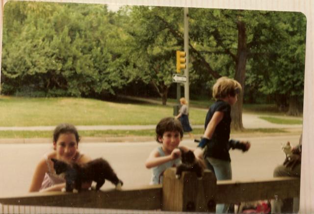 Cuddling kittens in the park