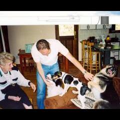 Playing with three dogs simultaneously. Granny Helen visiting at Wilderness.